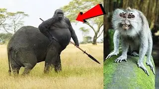 See What Crazy Animals Scientists Are Creating!