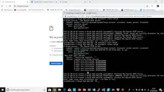 Posibles errores que puedo tener con Wordpress