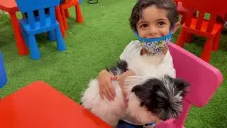 شاهد هذا الكلب اللطيف يلعب مع الأطفال بشكل مسلي ومدهش