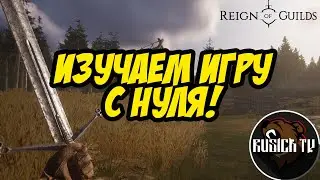 REIGN OF GUILDS | ИЗУЧАЕМ ИГРУ С НУЛЯ!
