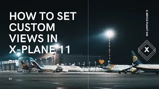 How to set custom views in X Plane 11