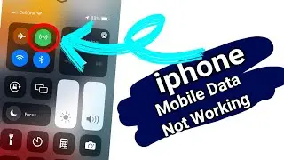 iPhone Mobile Data Not Working | Mobile Data Problem Fix in iPhone | 