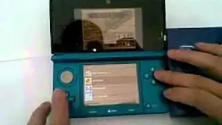R4i with WOOD in Nintendo 3DS
