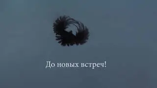 Серпастые и интервью