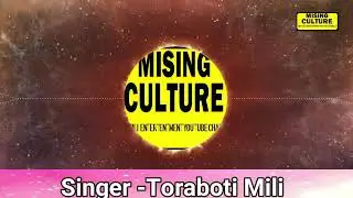 Missing lovely song