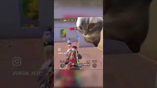 Chipi chipi 🐱 moye moye😂 (Aparts fight is fun) | #shorts #BGMI | (2/100)