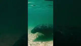 Old man and the sea