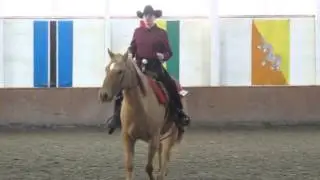 Abby Western Riding @ Mt Holyoke 2 of 2