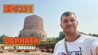 231. The First Sermon of Buddha. The 4 Truths of Buddhism.