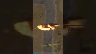что видит читер на шашлыках #rust #раст #бешик