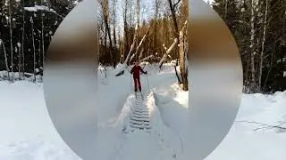 Абрамцевская лыжня