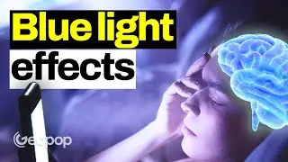 Does Your Smartphone’s “Eye Protection” Mode Really Work? The Effects of Blue Light