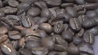 How Nescafé Coffee Is Made