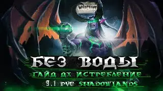 Без Воды. Гайд ДХ Истребление 9.1 PvE Shadowlands // World Of Warcraft