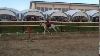 Traditional Archery Историческая стрельба из традиционного лука