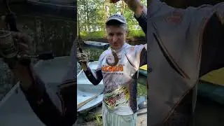 Не нужно далеко заплывать чтобы поймать рыбу.