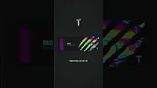 RAID 2024 #dubstep
