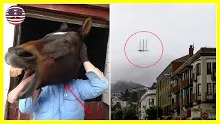 10  Perfectly Timed Pics That Will Make You Look Twice
