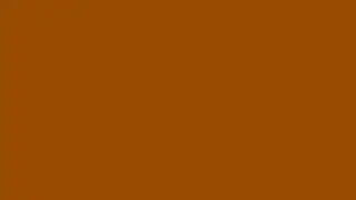 Brown screen for 10 hours with no sound [4K] – screensaver