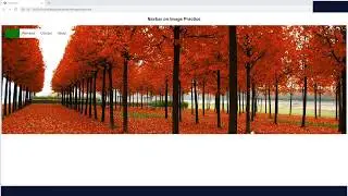 How to add a Navigation Bar on an Image using HTML and CSS