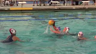 Sports Intro