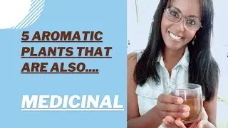 5 Aromatic Plants that are also Medicinal | Jovanka Ciares