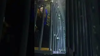 Alex in the dive cage at PDZA with sharks!
