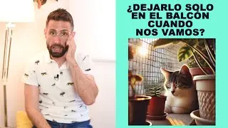 ¿Puedo dejar a mi gato en el balcón sin supervisión cuando me voy de casa?