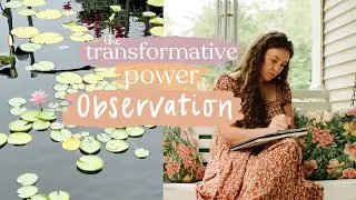 how observation transforms my art