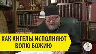 КАК АНГЕЛЫ ИСПОЛНЯЮТ ВОЛЮ БОЖИЮ Священник Олег Стеняев