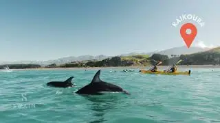 Places in New Zealand That Don't Feel Real 🇳🇿