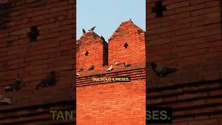7 Km De Muralla En Solo 4 Meses #tailandia #viajes