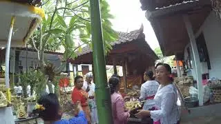 Uapacara Rsi Gana ( 2 Tahun Lalu)