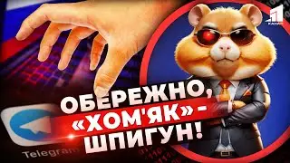 🐹Хом'ячок з вухами ФСБ?!? Чи безпечна нова криптогра у Telegram? Як реагувати?