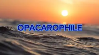 OPACAROPHILE MEANING AND PRONUNCIATION | SIR WYETH #wordoftheday