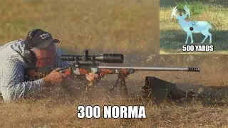 Ethical Hunter Challenge - Part 2