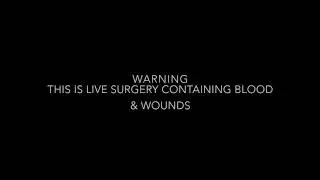 Canine Surgery
