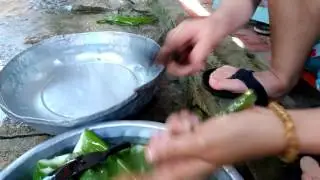 Tự Làm Nha Đam Và Những Điều Không Cần Biết