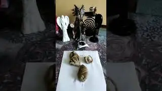 Заключительный этап восковых отливок. Сущность, родовой негатив и отлив здорового человека.