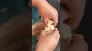 pezcado ala viscaina #bacalao noruego una receta deliciosa para celebrar estás fechas de sembrinas