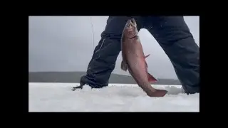 Pinware Ponds,  Last Snowmobiling & Ice Fishing Trip For The Season