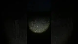Тест налобного фонаря с ОЗОН за 300 рублей 