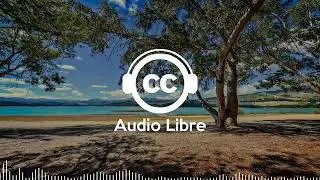 Musique Libre de Droits Dynamique Joyeuse pour Vlog House Tropical  Joakim Karud   Wild Flower