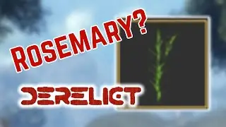 How To Get Rosemary in 2024? | Roblox Derelict