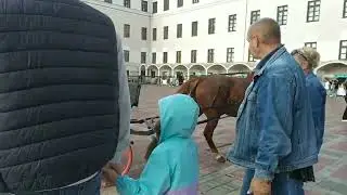 Гардиши имрузи мо дар масҷиди кул шариф