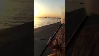 Бердянск