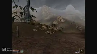 Ночные поигрушки