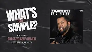 Ice Cube - Check Yo Self (Remix) (What's The Sample?) #whatsthesample