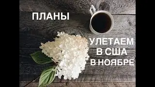 Улетаем через месяц в США | Наши планы