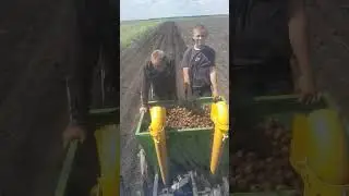 высадка картофеля 14.05.2024 года #automobile #agriculture #machine
